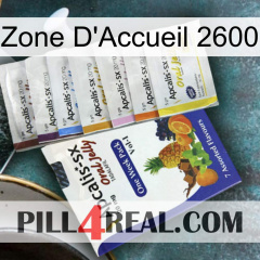 Home Zone 2600 11